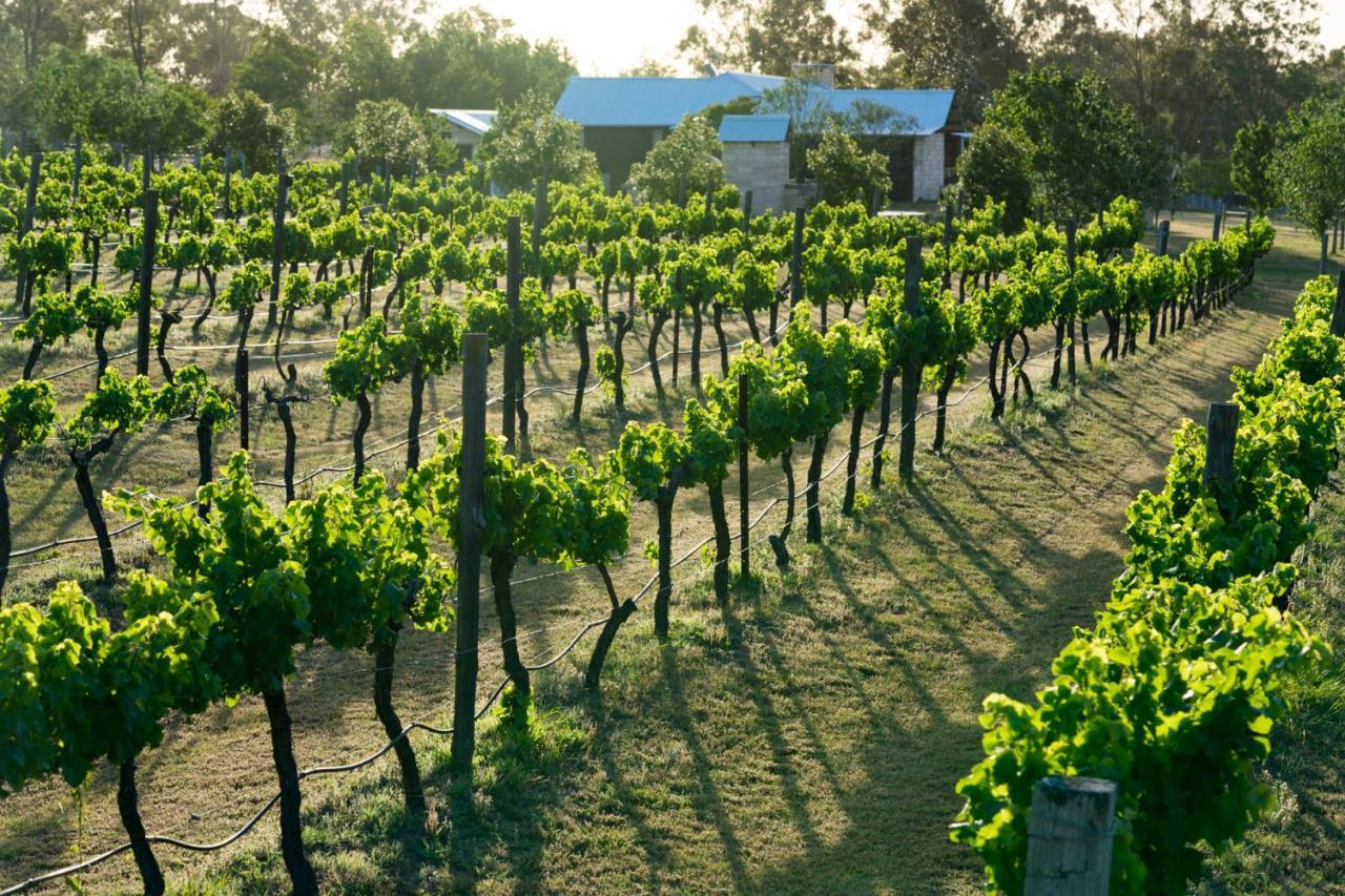 Thistle Hill Guesthouse - Walk To Many Wineries And Restaurants Pokolbin Exterior photo
